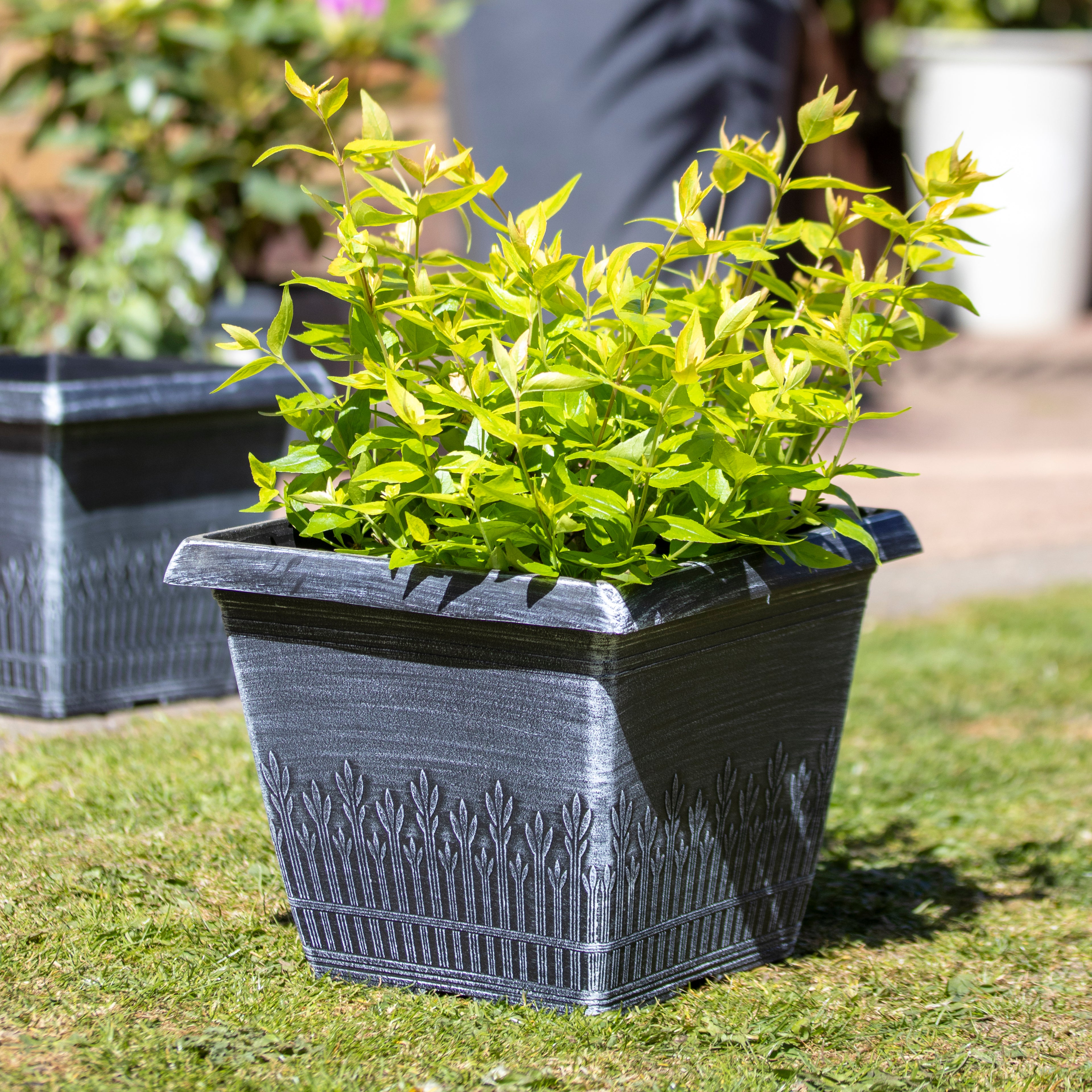 Brushed White Wheat Square Planter