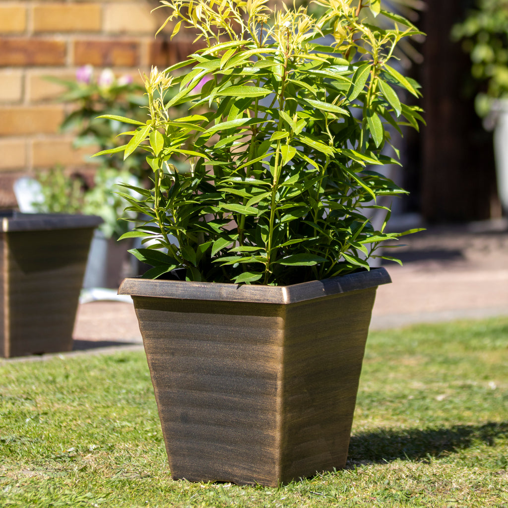 Black Bronze Biscotti Square Planter