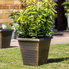 Black Bronze Biscotti Square Planter