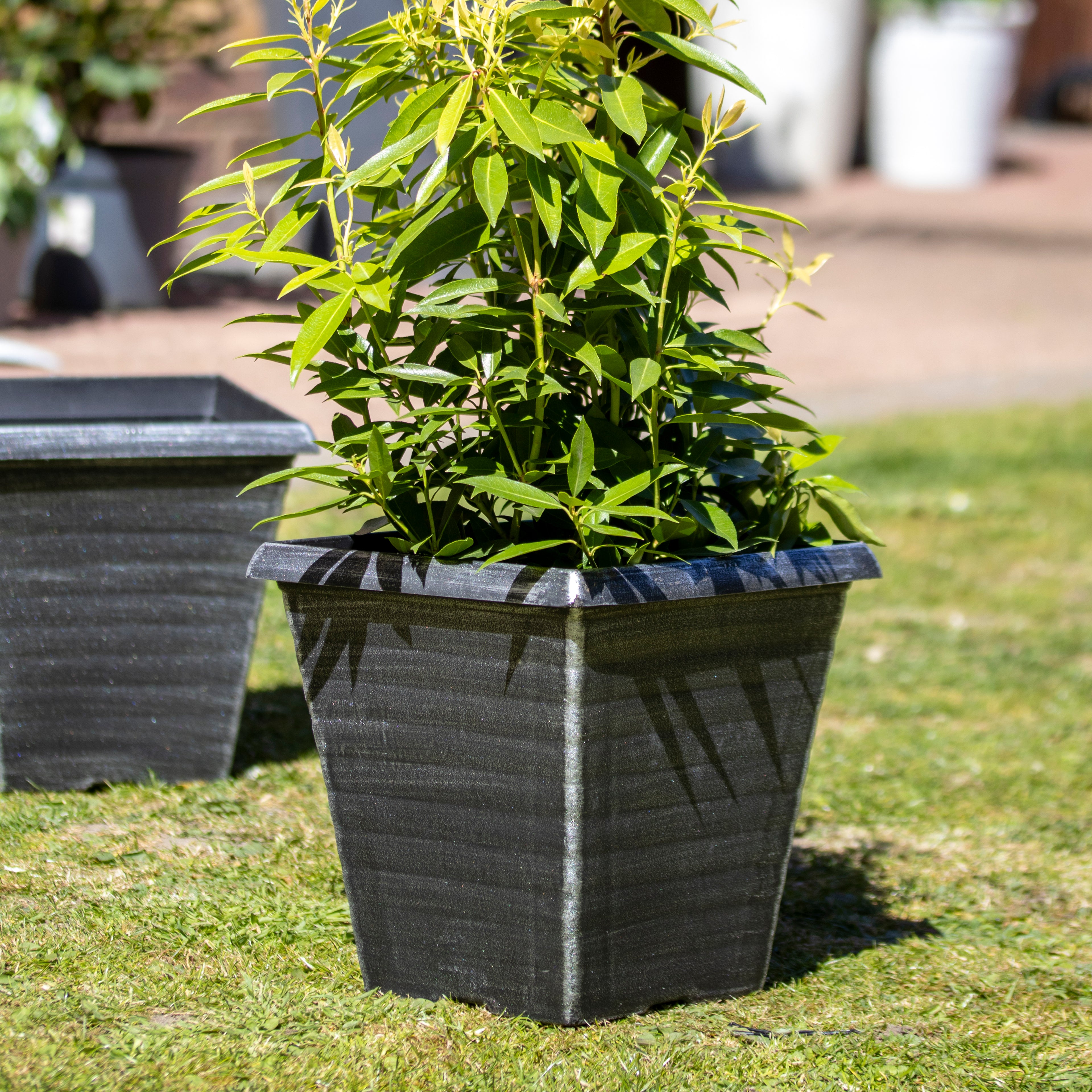 Brushed Silver Biscotti Square Planter