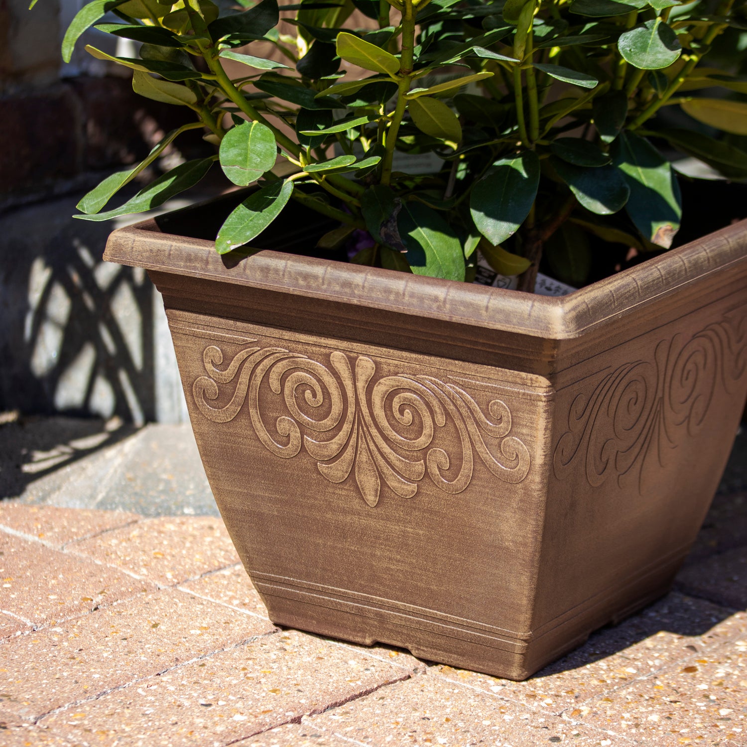 Brushed Butterscotch Square Laurel Planter