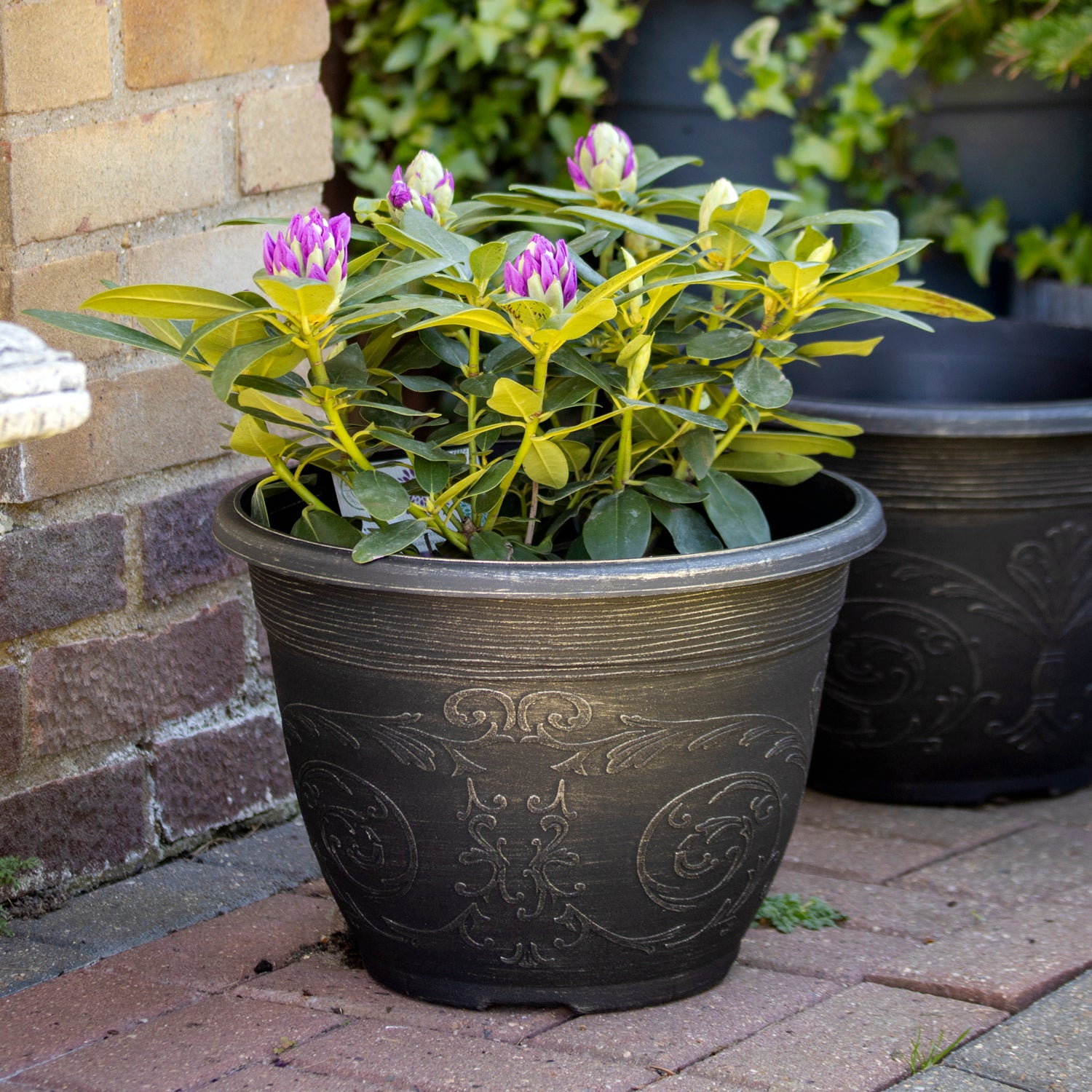 Brushed Champagne Arabesque Round Planter