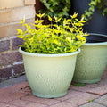 Patina Baroque Round Planter