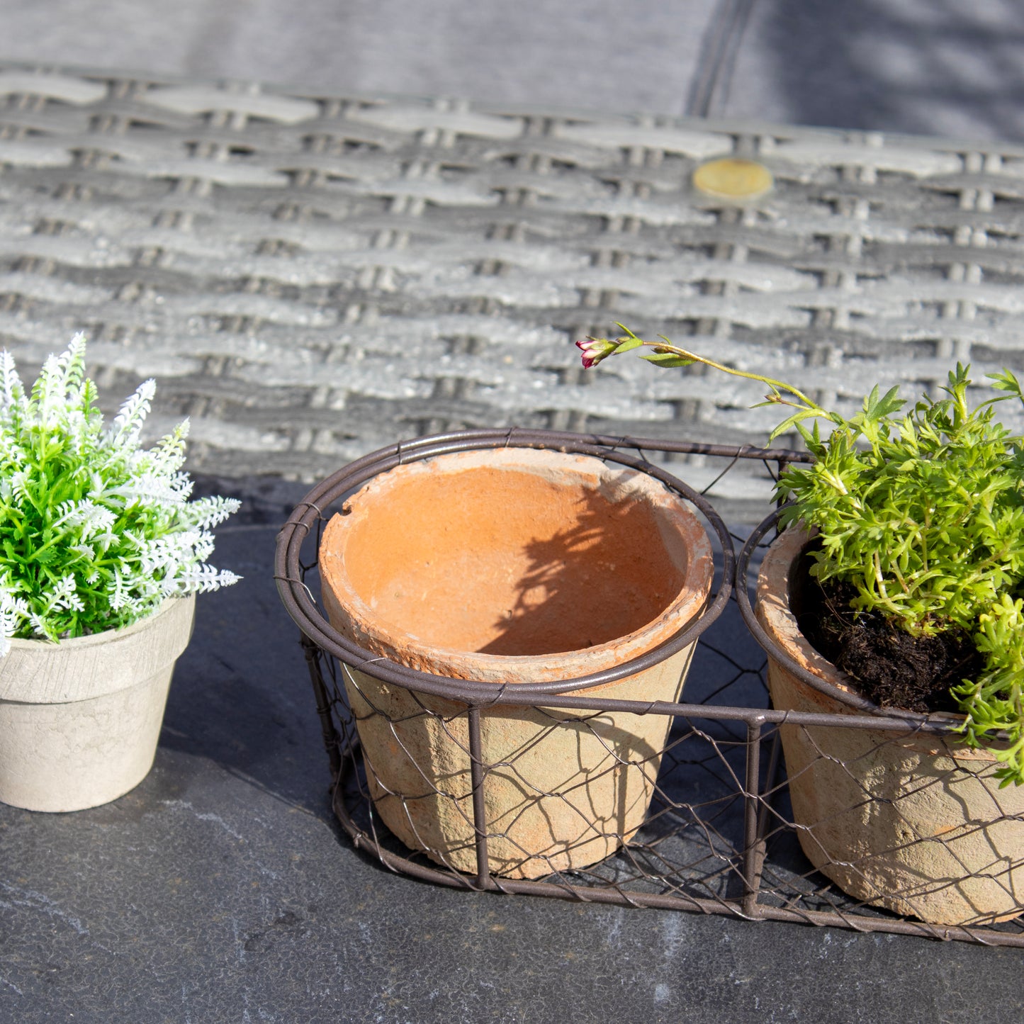 Set Of 3 Aged Terracotta Pots In Wire Basket