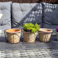 Set Of 3 Aged Terracotta Pots In Wire Basket