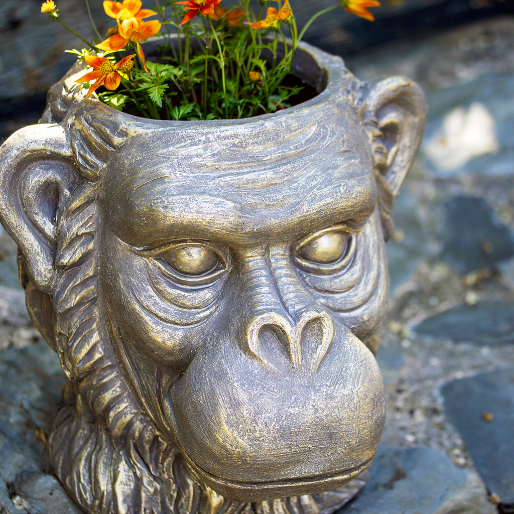 Bronze Ape Head Planter