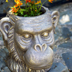 Bronze Ape Head Planter