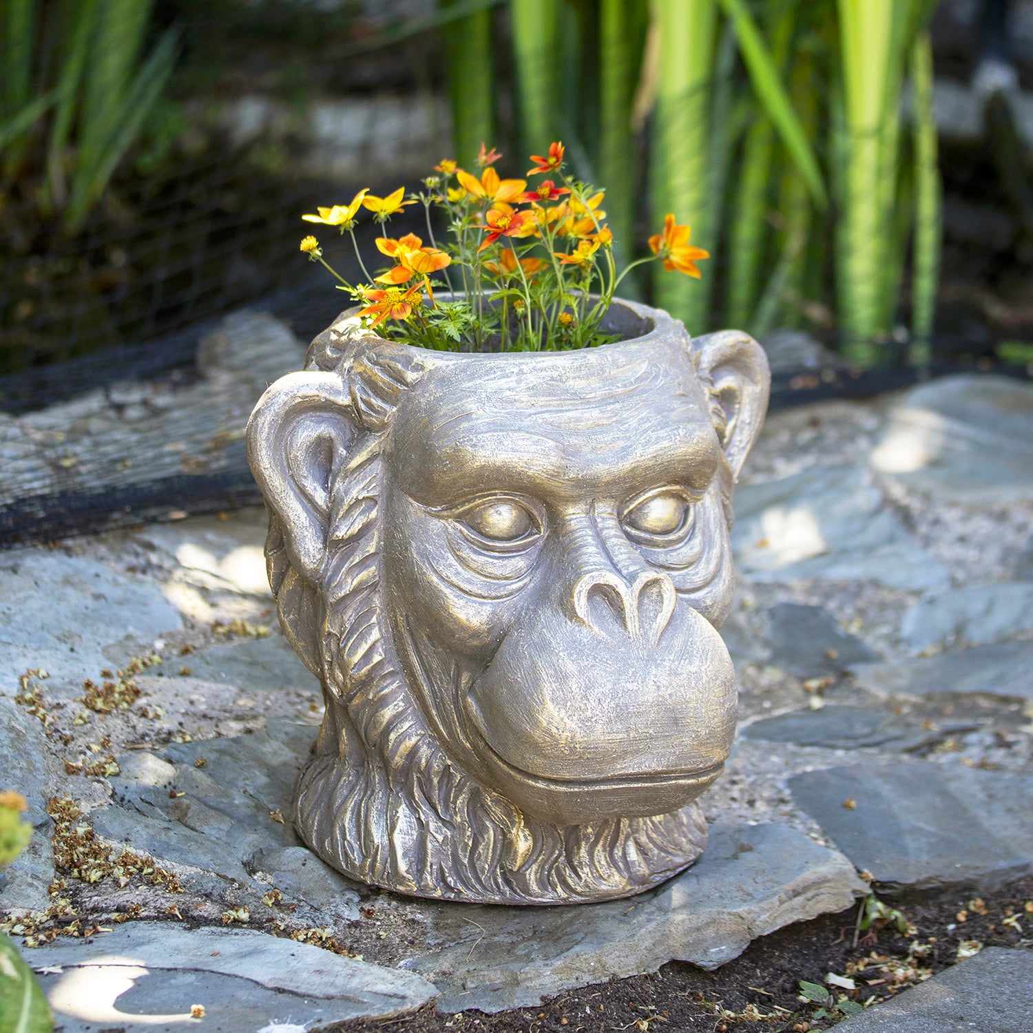Bronze Ape Head Planter