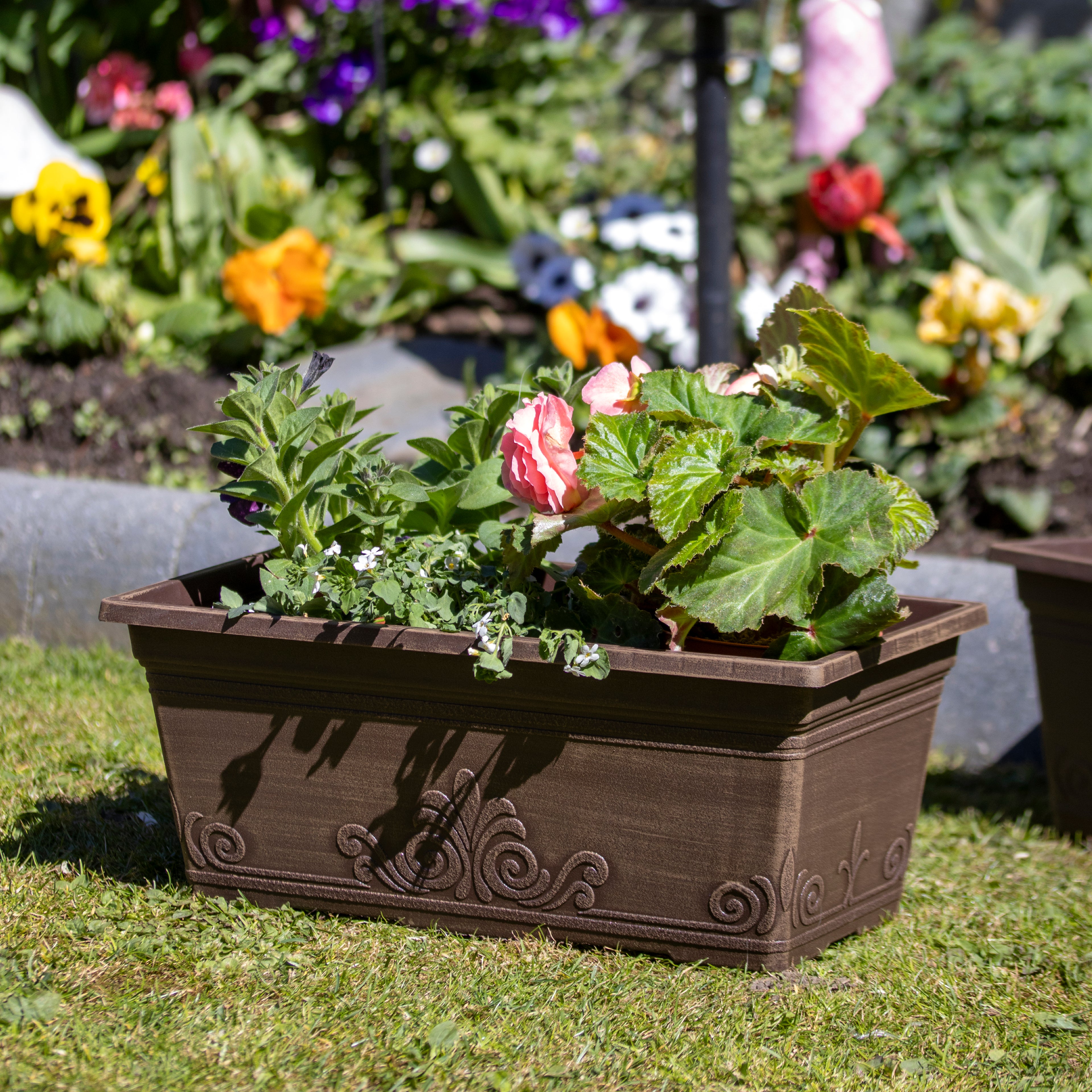 Set Of 2 Brushed Butterscotch Laurel Window Boxes