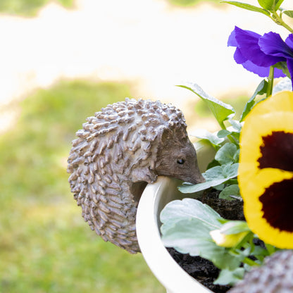 Harz-Igel-Blumentopf-Aufhänger, Dekoration, 8 cm