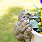 Set Of 2 Frog Pot Hangers