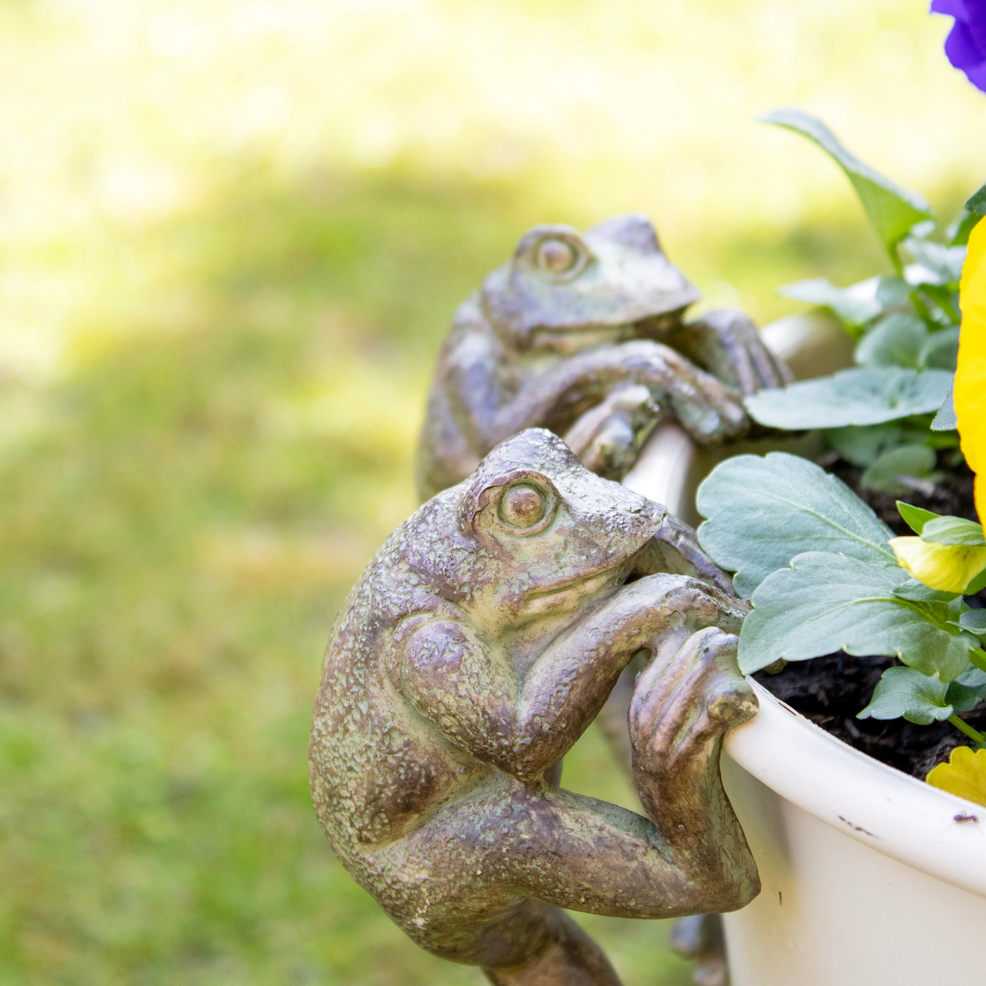 Set Of 2 Frog Pot Hangers