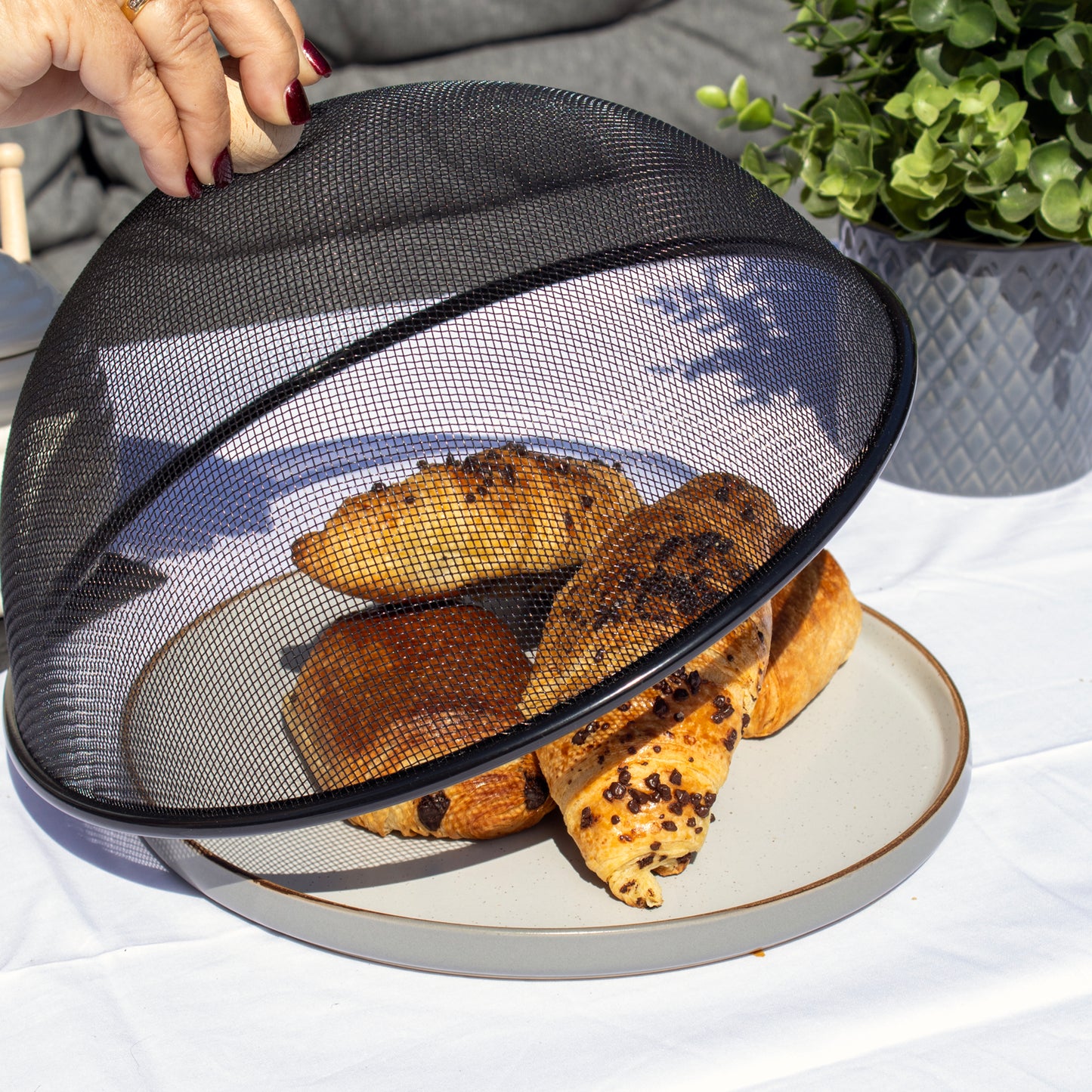 Black Mesh Food Cover With Beech Handle
