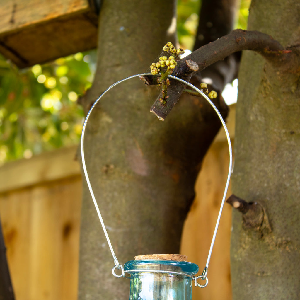 Blue Hobnail Glass Wasp Trap