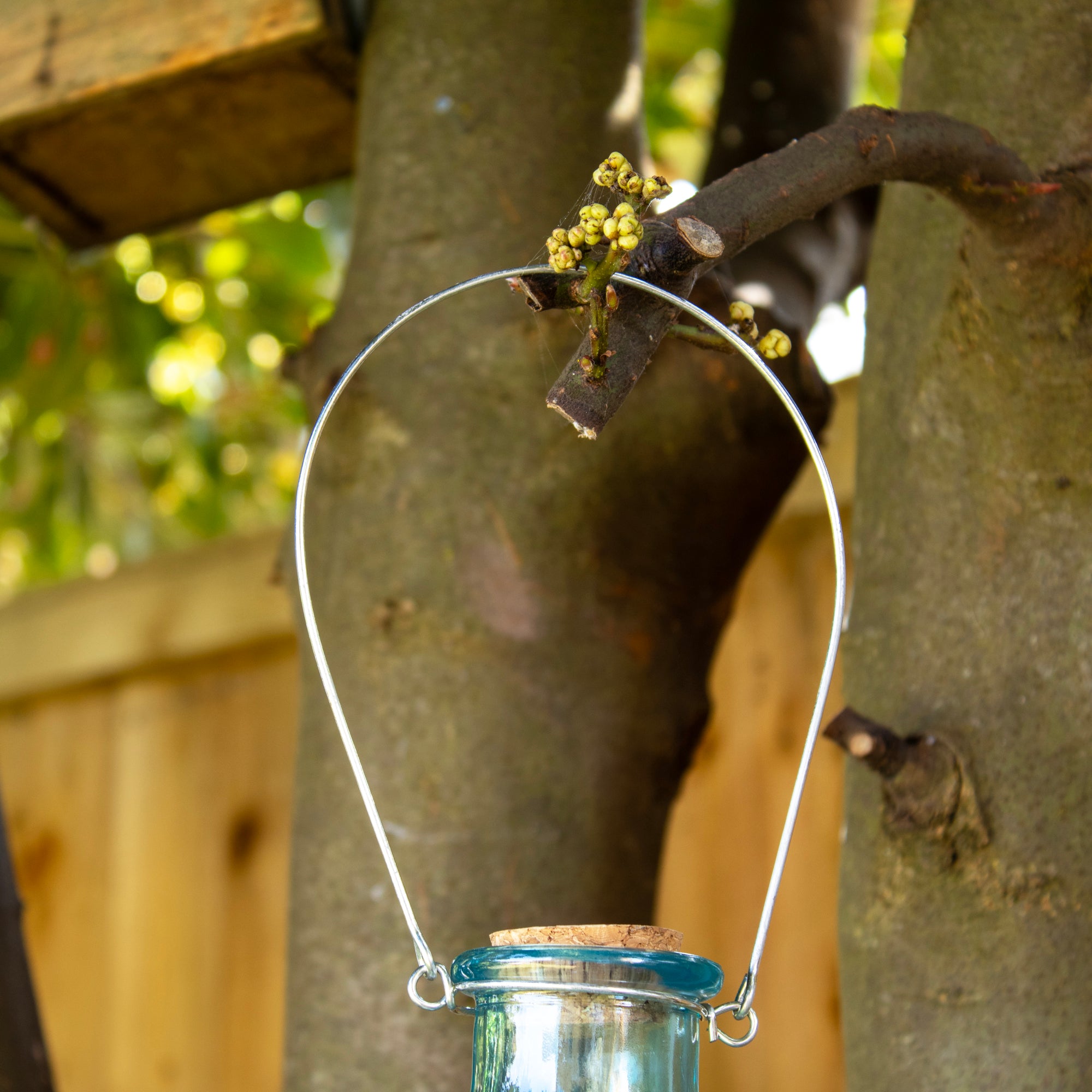 Blue Hobnail Glass Wasp Trap