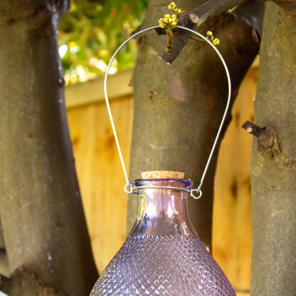 Purple Hobnail Glass Wasp Trap
