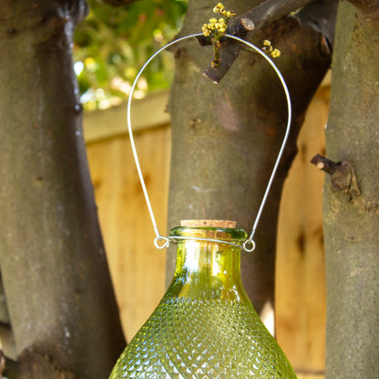 Green Hobnail Glass Wasp Trap