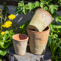 Three brown terracotta plant pots in assorted sizes placed on a stone surface with green plants in the background.