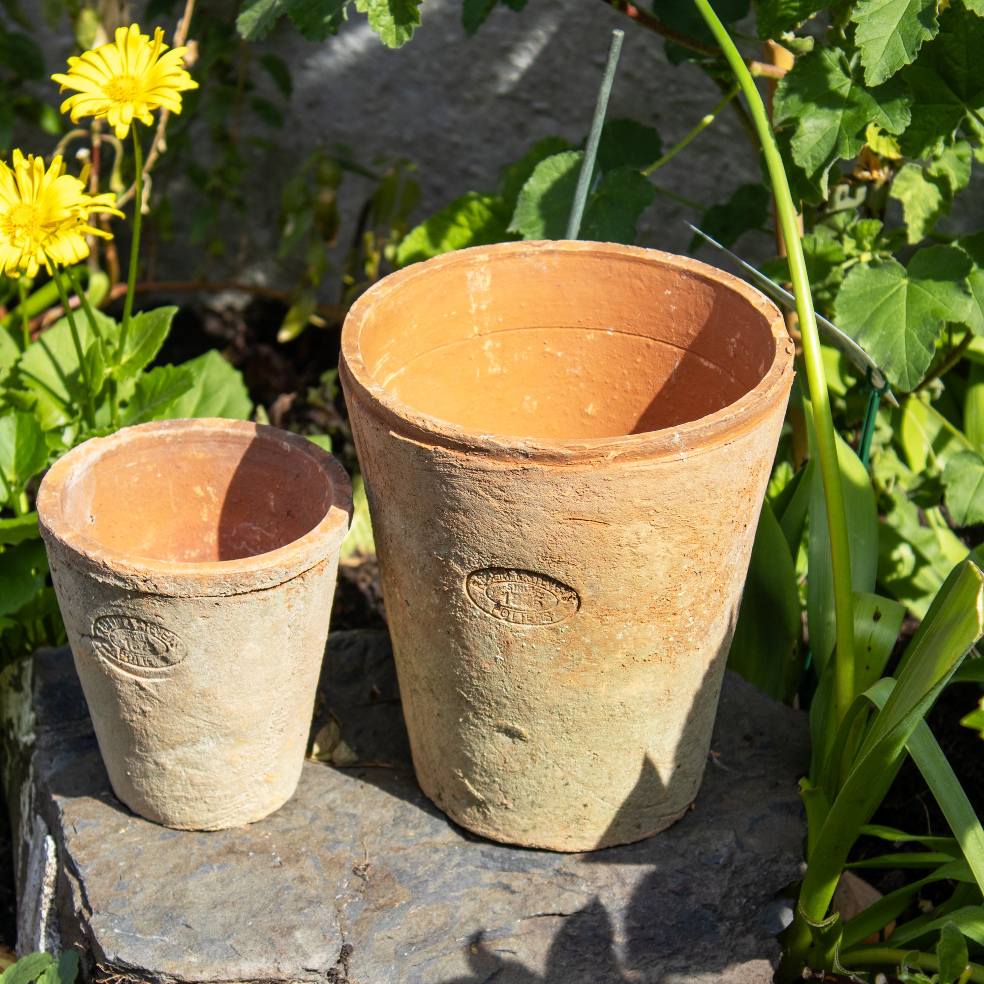 Set Of 3 Aged Terracotta Plant Pots