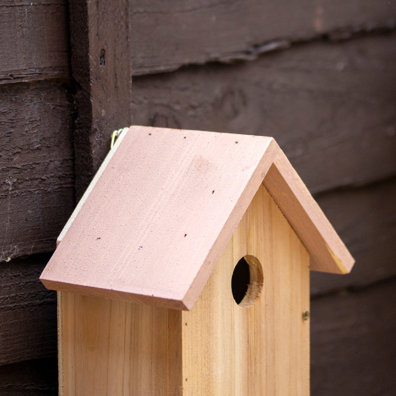 Pink Wood Bird House
