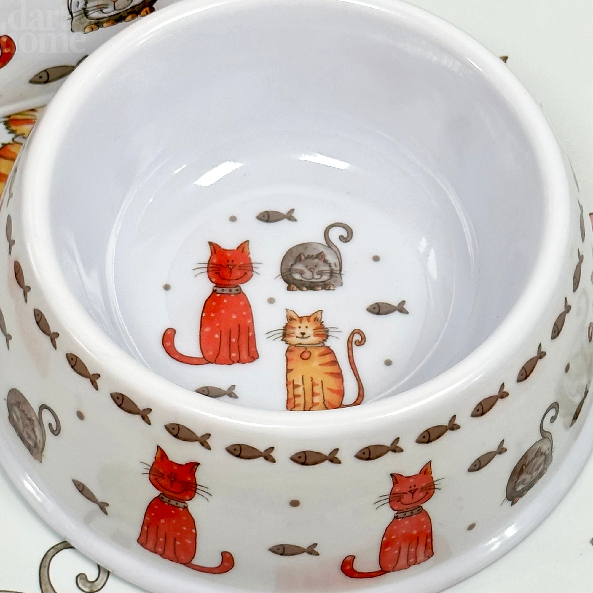 Kitten Crew Cat Bowl