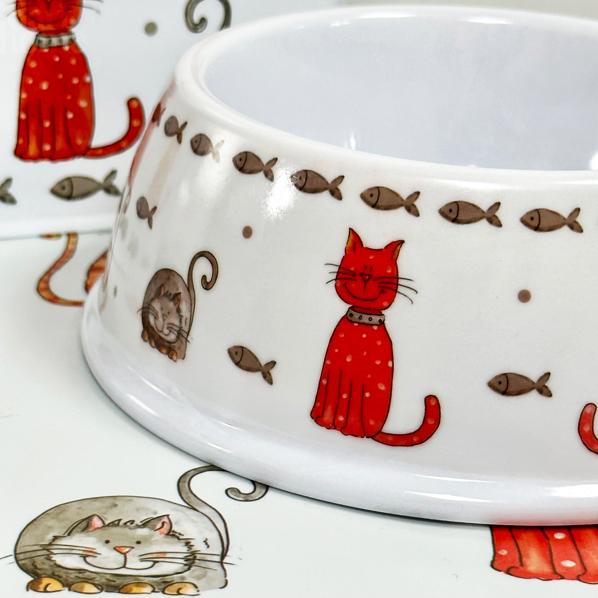 Kitten Crew Cat Bowl