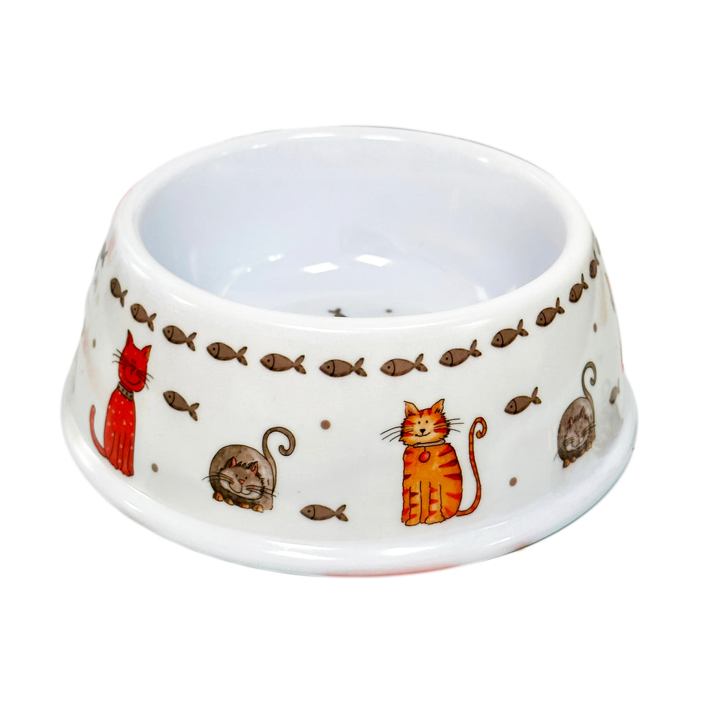 Kitten Crew Cat Bowl