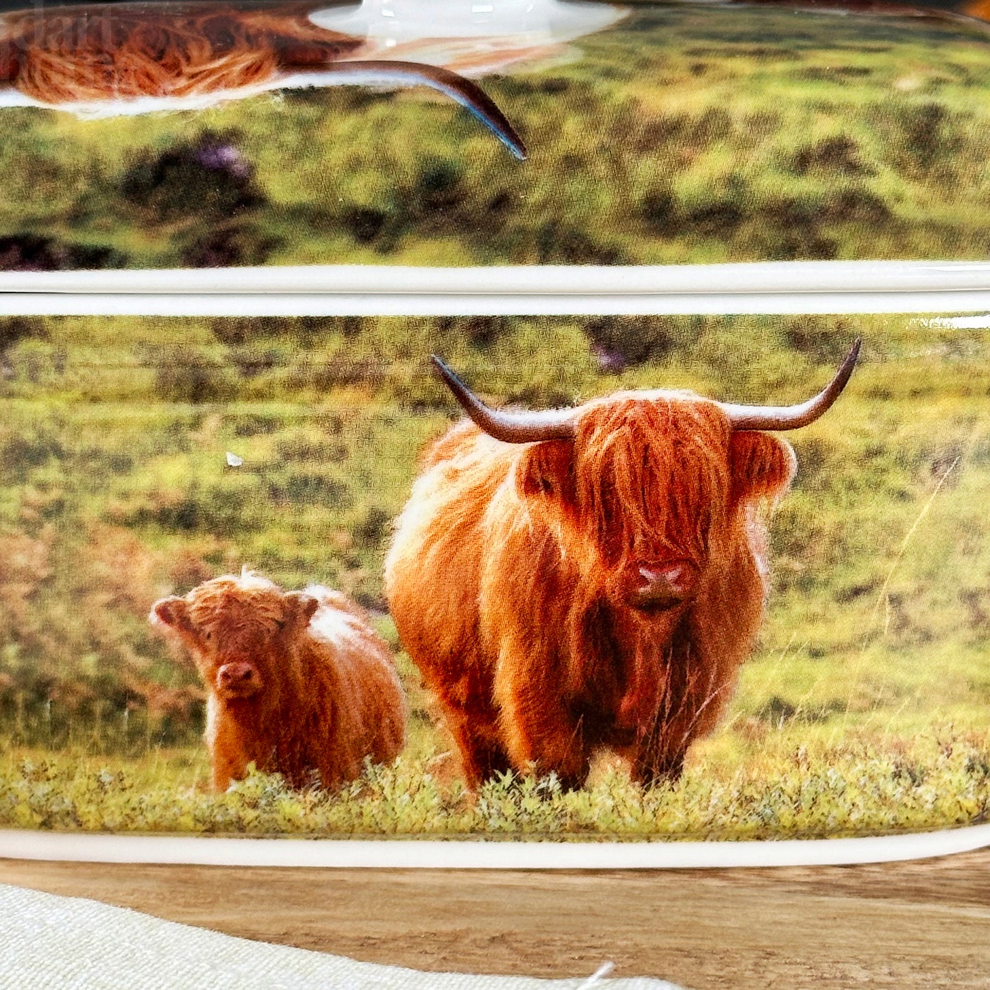 Highland Cow Fine China Butter Dish