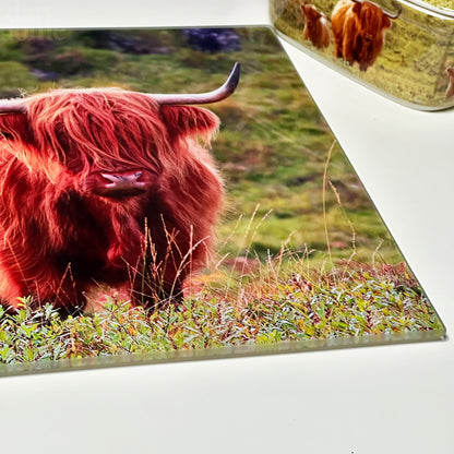 Highland Cow Glass Chopping Board