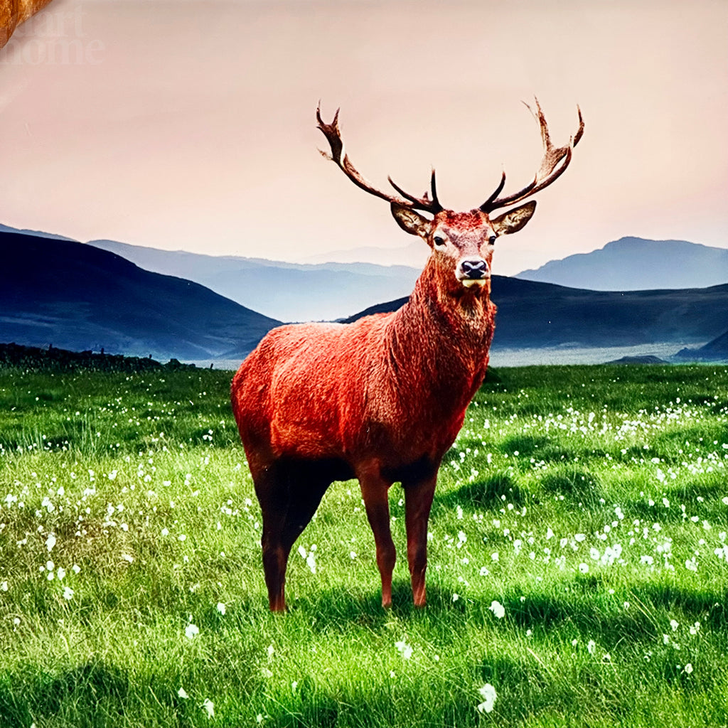 Stag Toughened Glass Chopping Board