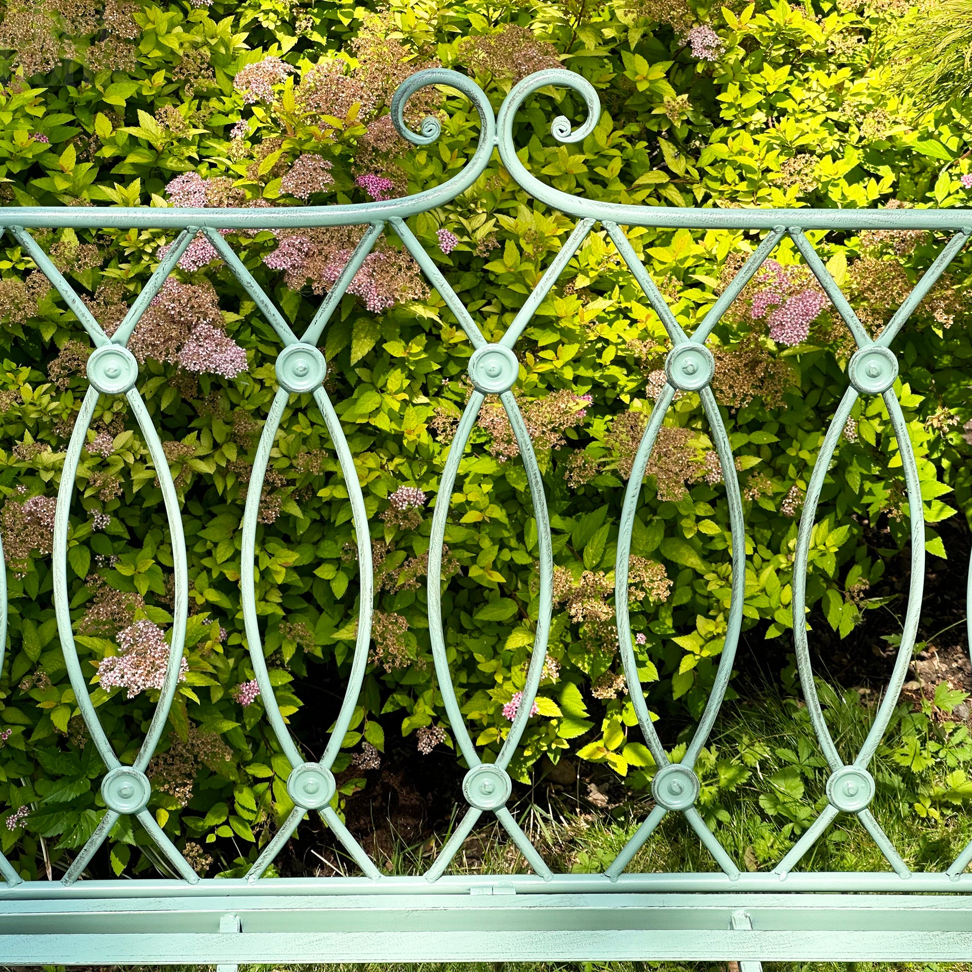 Pistazienknopf-Gartenbank