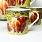 Highland Cow Mugs Giftboxed 300ml