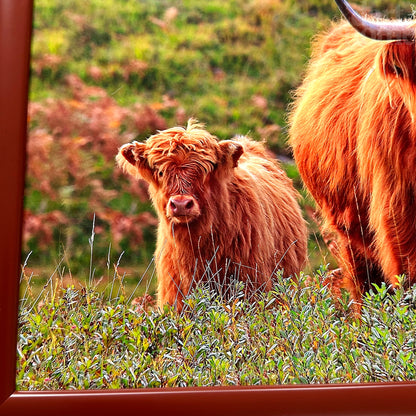 Gepolstertes Schoßtablett „Highland Cow“.