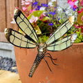 Glow In The Dark Dragonfly Pot Hanger