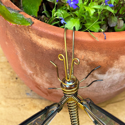 Blue Spring Tail Dragonfly Pot Hanger