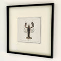 Framed Lobster Crustacean Wall Art
