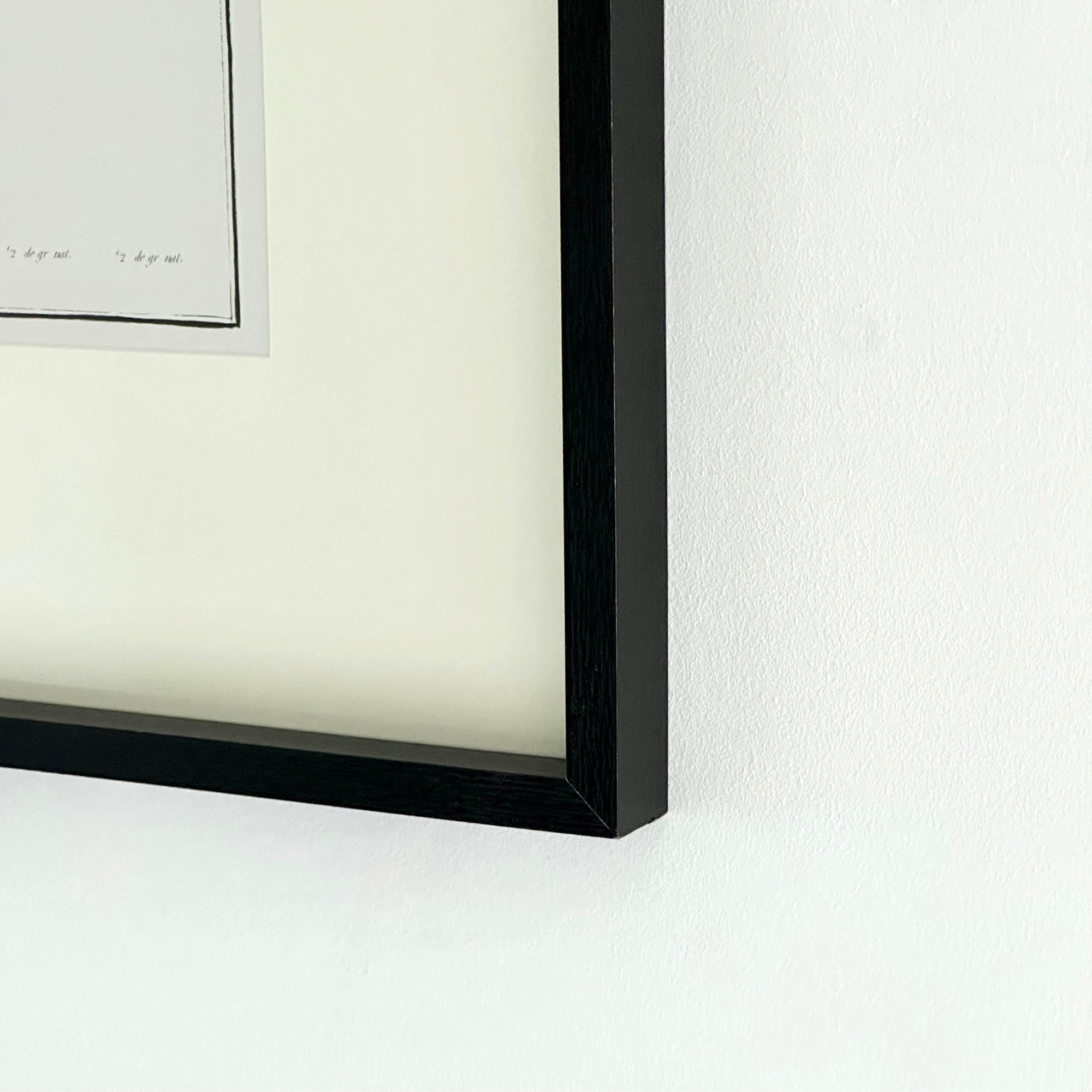 Framed Lobster Crustacean Wall Art