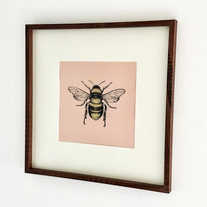 Pink Summer Bee Framed Print