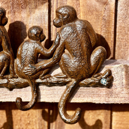 Cast Iron Monkey Tail Hooks