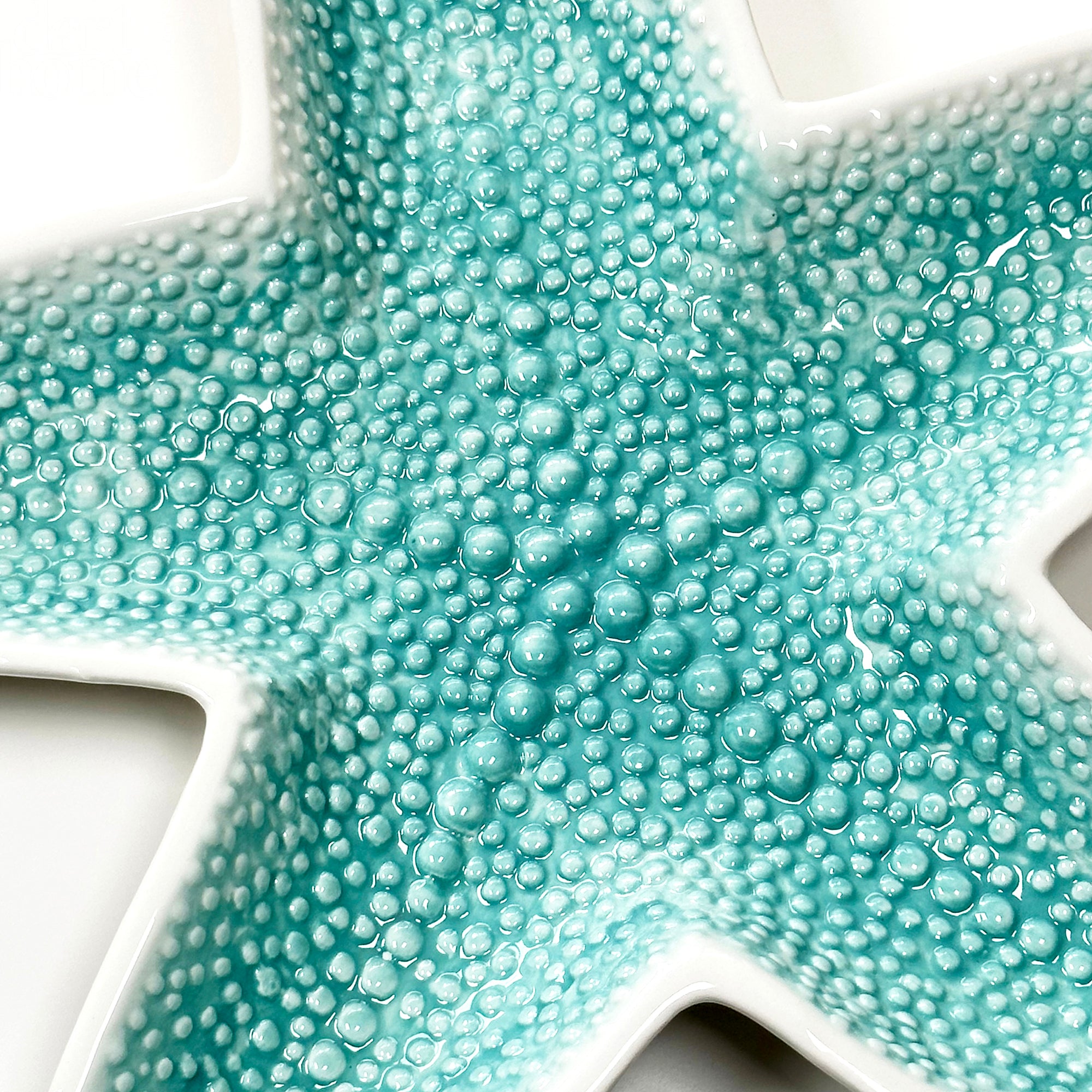 Large Teal Starfish Dish