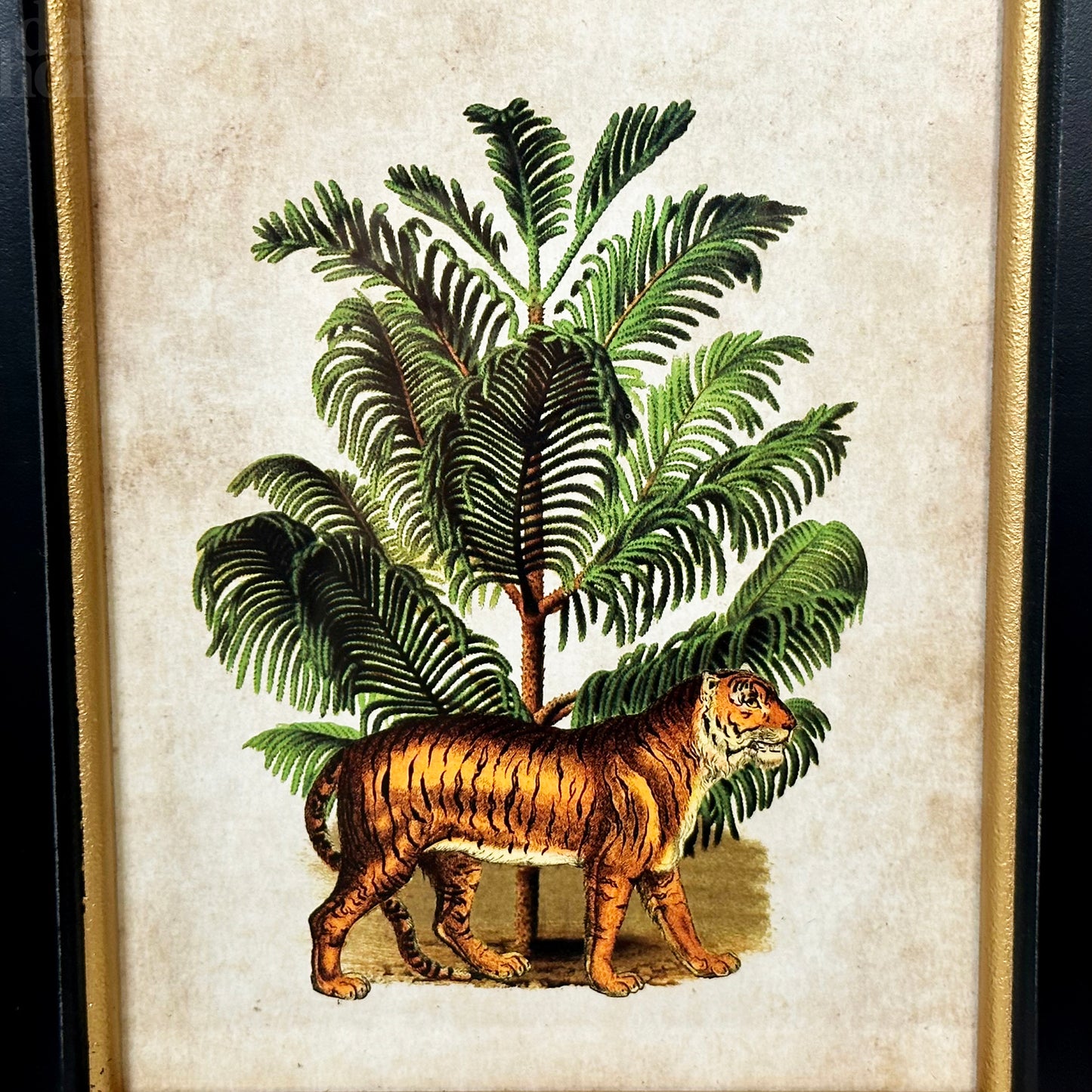 Tiger In The Jungle Toile Framed Print