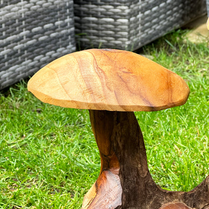 Teak Root Double Wild Mushroom Sculpture