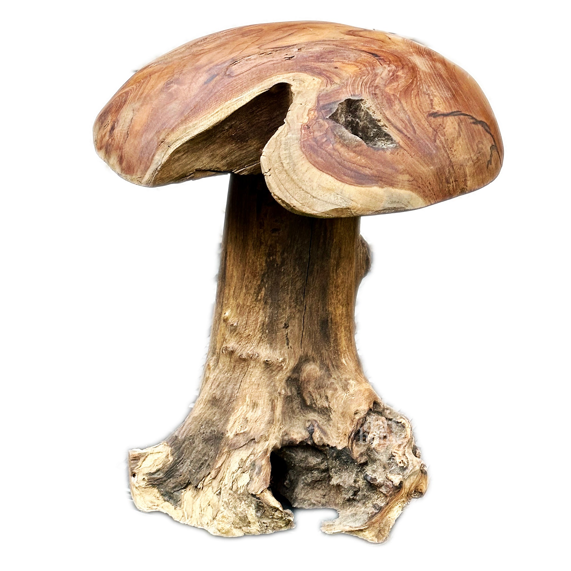 Teak Root Mushroom Sculpture 35cm