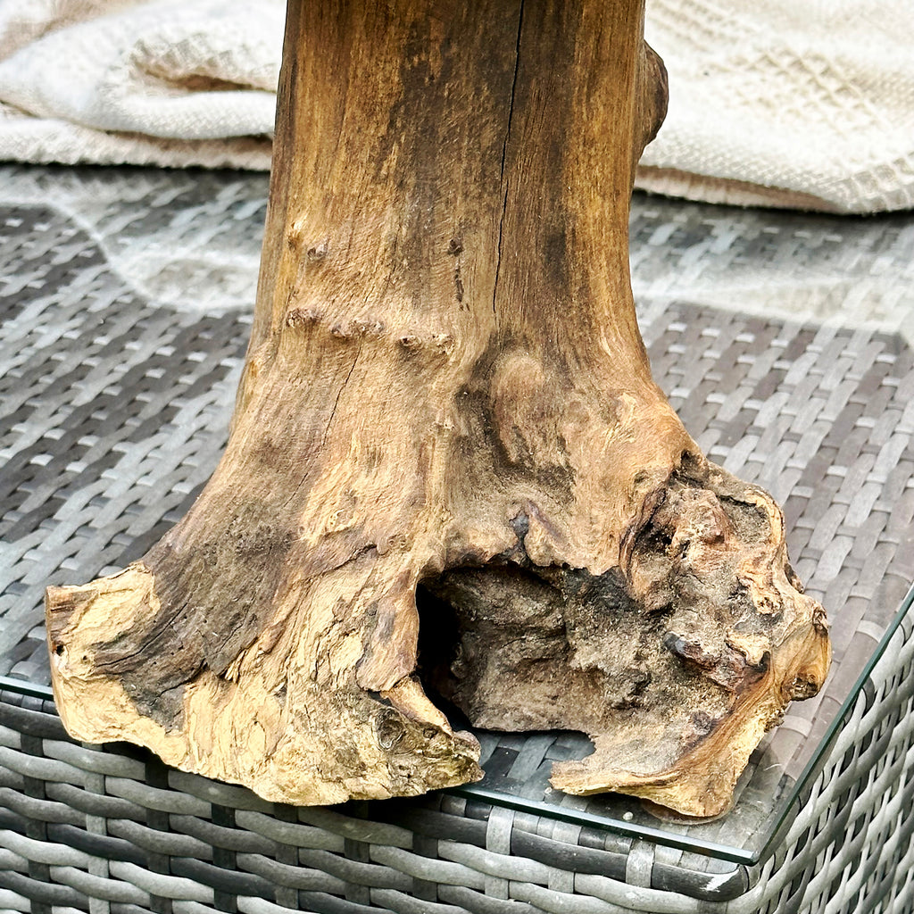 Teak Root Mushroom Sculpture 35cm