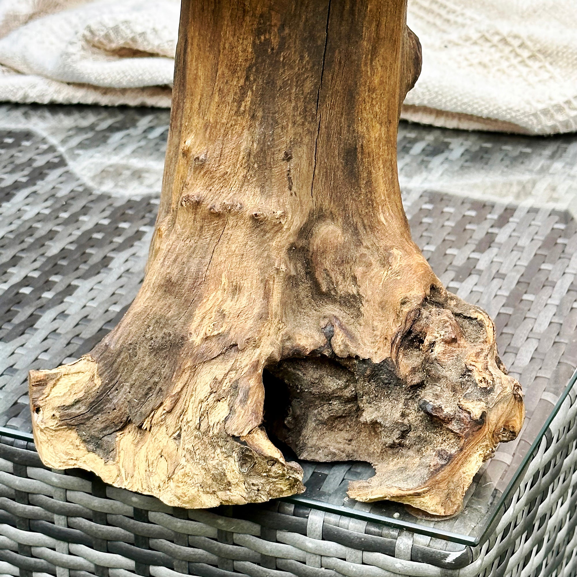 Teak Root Mushroom Sculpture 35cm