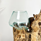 Tall Double Molten 11cm Bowls Teak Root Stand