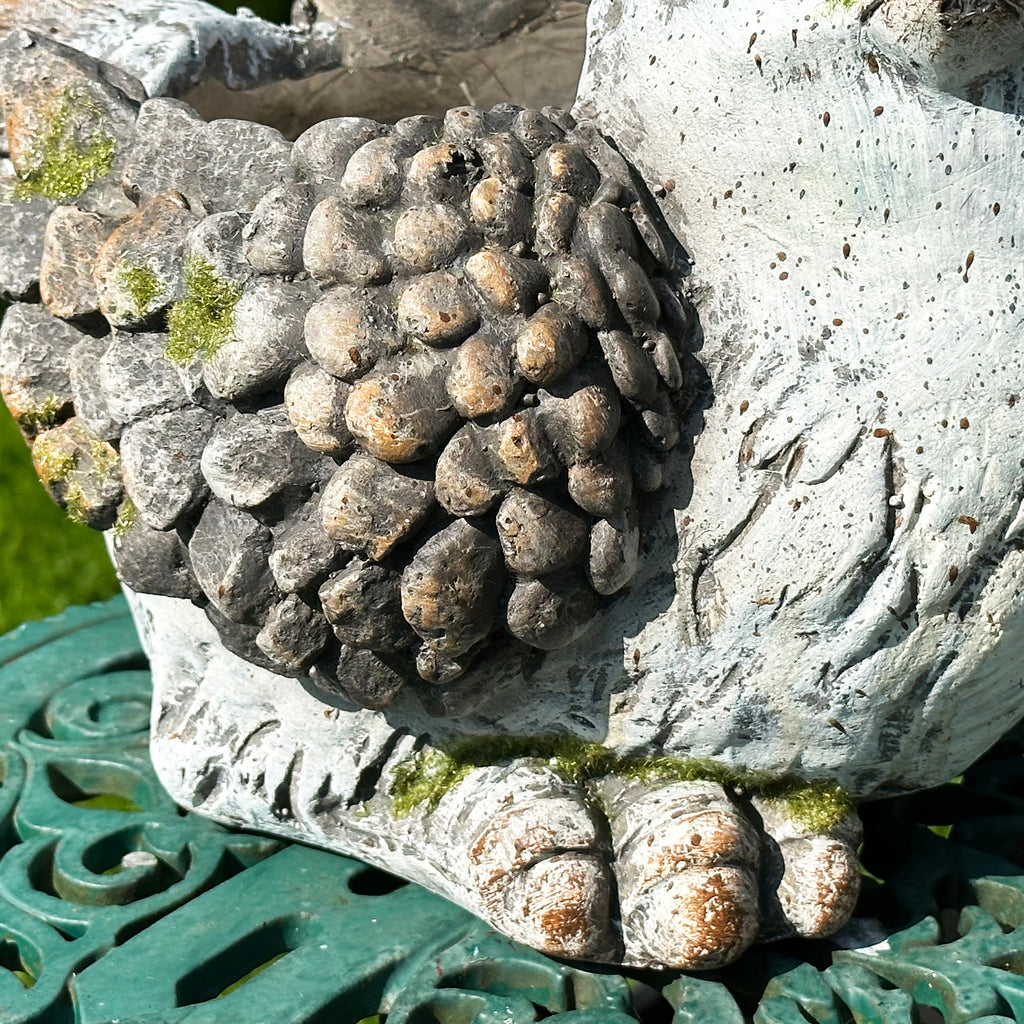 Large Bird Flower Pot