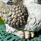 Large Bird Flower Pot