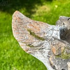 Large Bird Flower Pot
