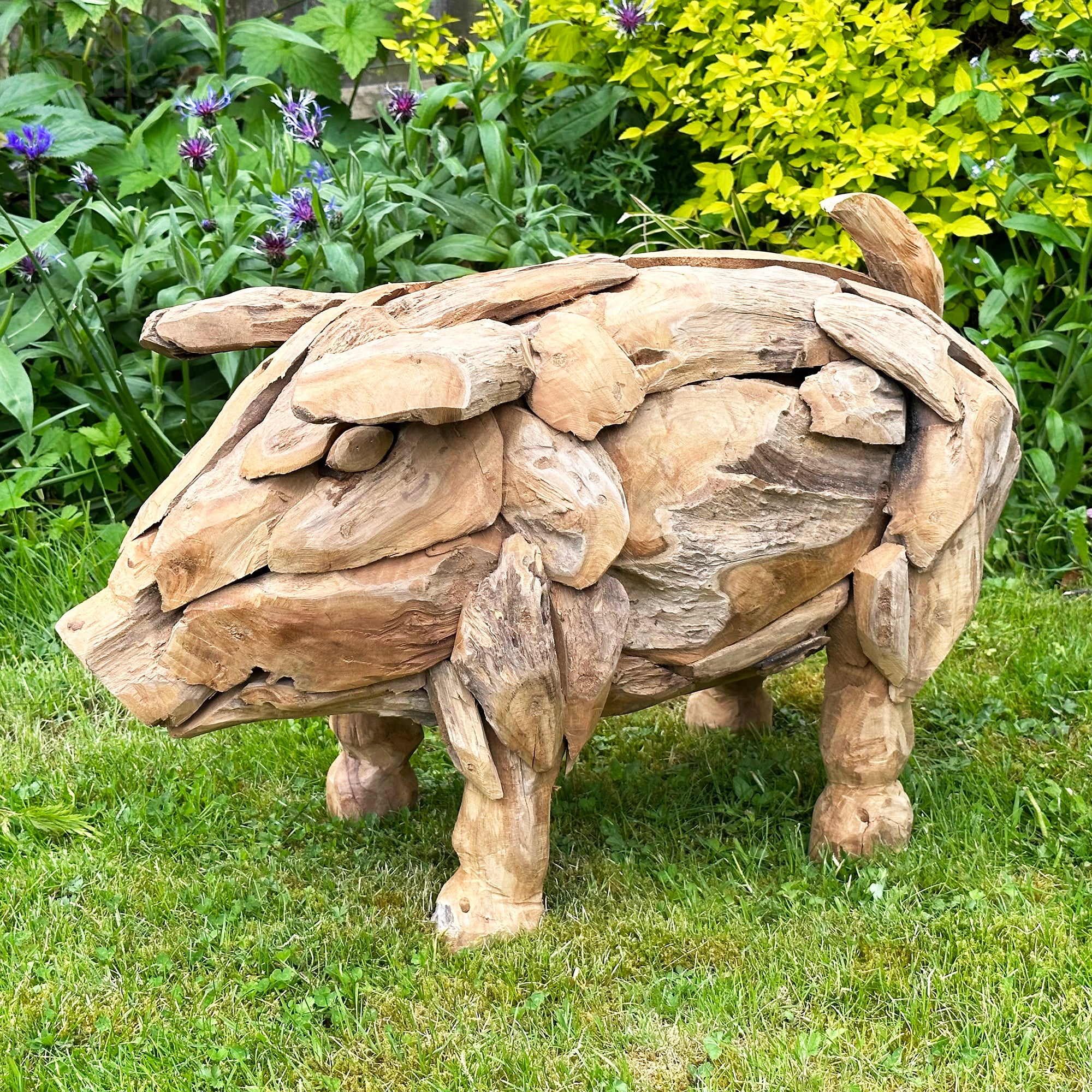Teak Root Baby Pig Sculpture